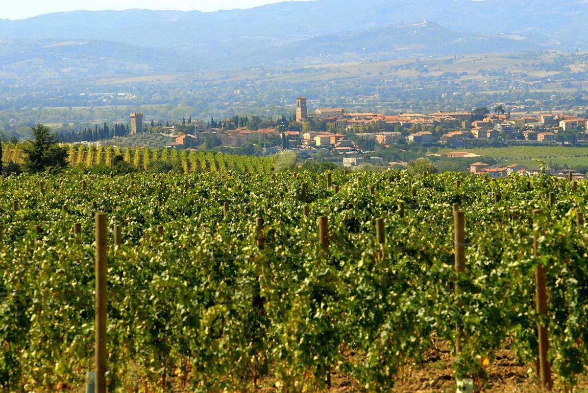 Agriturismo Wine Casale Villa Chiara Торджано Экстерьер фото
