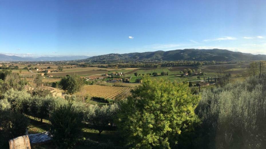 Agriturismo Wine Casale Villa Chiara Торджано Экстерьер фото