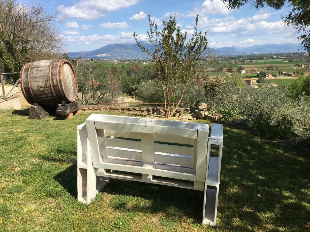 Agriturismo Wine Casale Villa Chiara Торджано Экстерьер фото